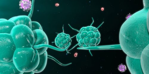 Nature：科學家鎖定癌症相關蛋白質，有望延緩癌症進展