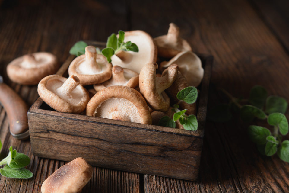 Mushrooms for Cancer Prevention