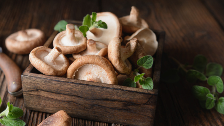 Mushrooms for Cancer Prevention