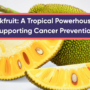 Jackfruit: A Tropical Powerhouse in Supporting Cancer Prevention