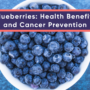 Blueberries: Health Benefits and Cancer Prevention